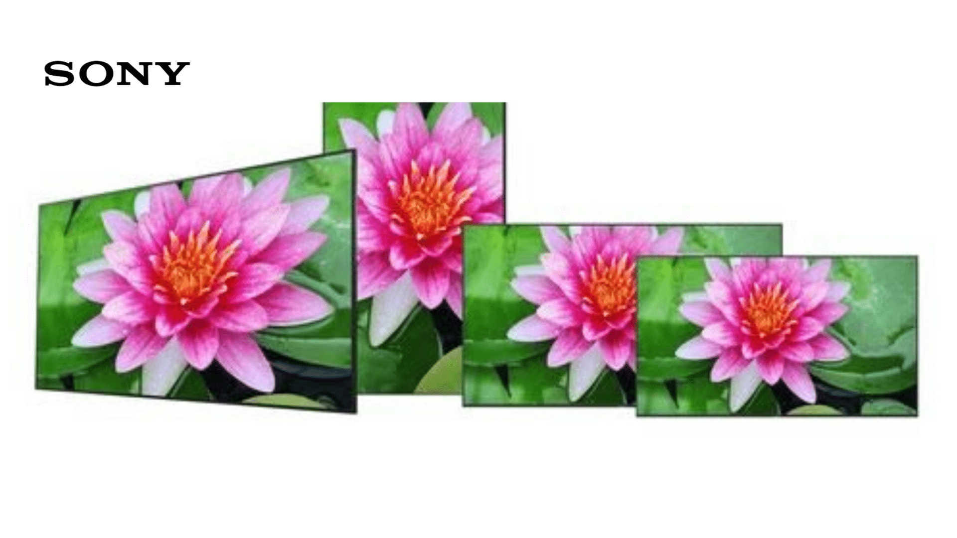 Sony Electronics Announces 4K HDR Professional BRAVIA Displays Smart